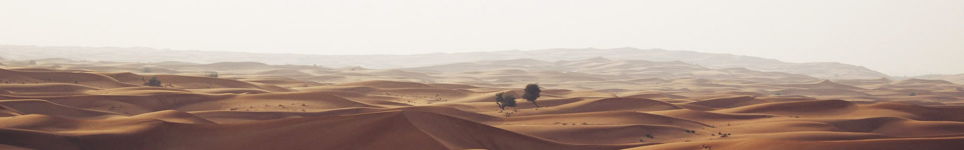 лʢ޹˾